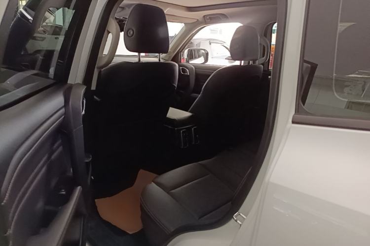 Used Haval DARGO 2021 1.5T DCT Two-Wheel Drive Labrador Edition Left Rear Seat