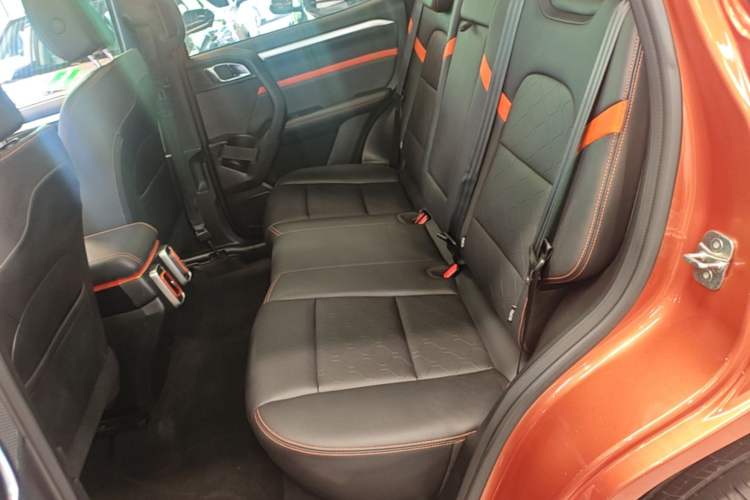Used Haval DARGO 2021 2.0T DCT 4x4 Chinese Rural Dog Edition Left Rear Seat