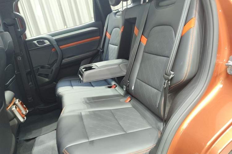 Used Haval DARGO 2021 2.0T DCT 4x4 Chinese Rural Dog Edition Left Rear Seat