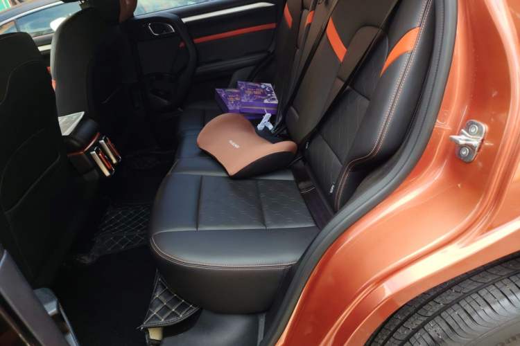 Used Haval DARGO 2021 2.0T DCT 4x4 Chinese Rural Dog Edition Left Rear Seat