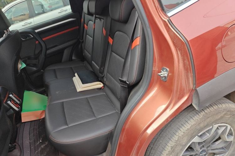 Used Haval DARGO 2021 2.0T DCT 4x4 Chinese Rural Dog Edition Left Rear Seat