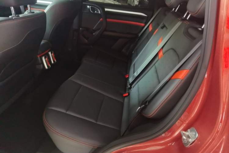 Used Haval DARGO 2021 1.5T DCT Two-Wheel Drive Border Collie Edition Left Rear Seat