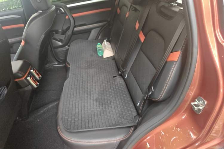 Used Haval DARGO 2021 1.5T DCT Two-Wheel Drive Border Collie Edition Left Rear Seat