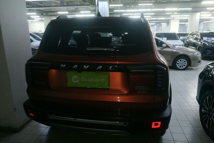 Used Haval DARGO 2021 2.0T DCT 4x4 Chinese Rural Dog Edition Rear