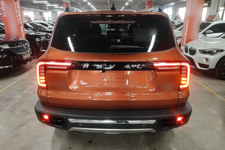Used Haval DARGO 2021 2.0T DCT 4x4 Chinese Rural Dog Edition Rear