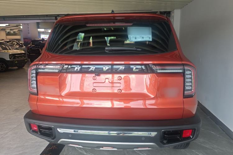 Used Haval DARGO 2021 2.0T DCT 4x4 Chinese Rural Dog Edition Rear