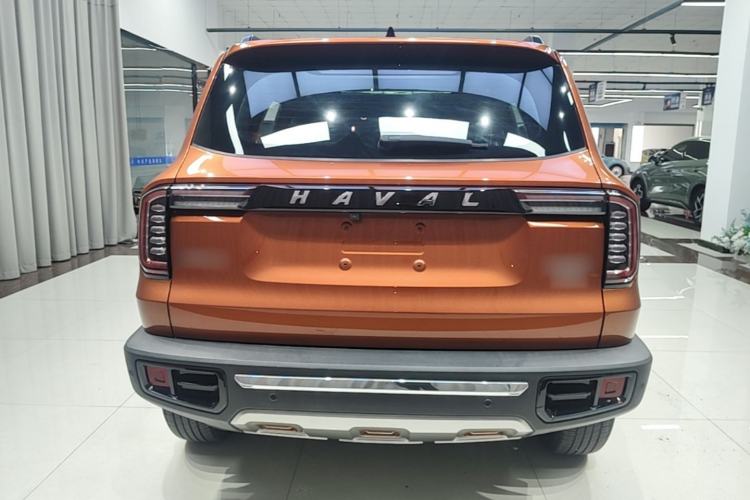 Used Haval DARGO 2021 2.0T DCT 4x4 Chinese Rural Dog Edition Rear