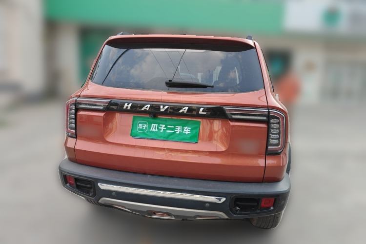 Used Haval DARGO 2021 2.0T DCT 4x4 Chinese Rural Dog Edition Rear