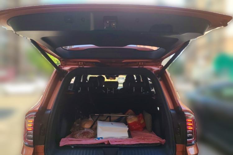 Used Haval DARGO 2021 2.0T DCT 4x4 Chinese Rural Dog Edition Trunk