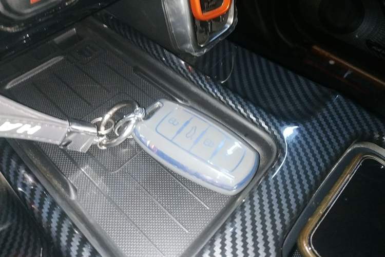 Used Haval DARGO 2021 2.0T DCT 4x4 Chinese Rural Dog Edition Vehicle Key