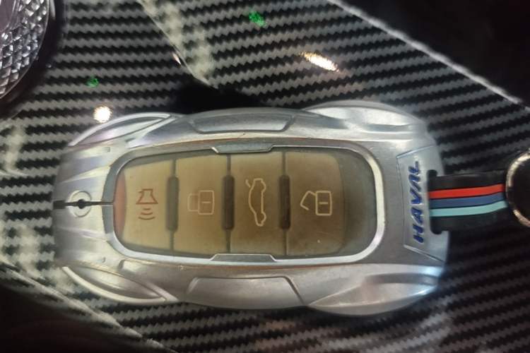 Used Haval DARGO 2021 2.0T DCT 4x4 Chinese Rural Dog Edition Vehicle Key