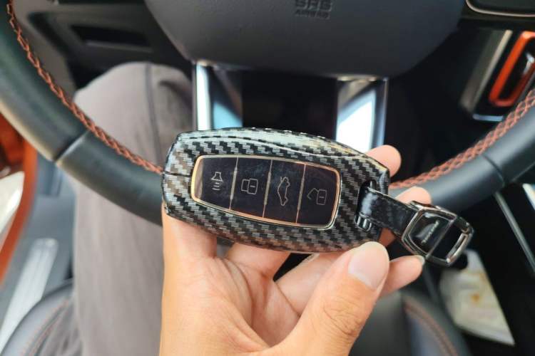 Used Haval DARGO 2021 2.0T DCT 4x4 Chinese Rural Dog Edition Vehicle Key