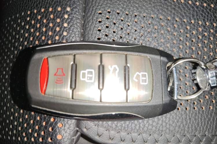 Used Haval DARGO 2021 2.0T DCT 4x4 Chinese Rural Dog Edition Vehicle Key
