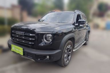 Used Haval DARGO 2022 2.0T DCT 4x4 Chinese Rural Dog Edition