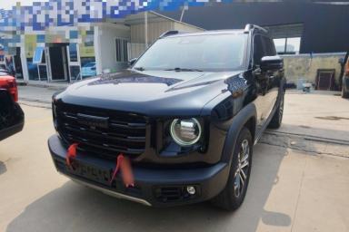 Used Haval DARGO 2022 2.0T DCT Two-Wheel Drive Huazhong Hound Edition
