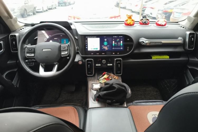Used Haval DARGO 2022 1.5T DCT Two-Wheel Drive Border Collie Edition Center Console