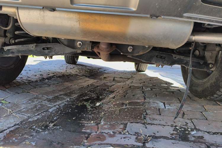 Used Haval DARGO 2022 1.5T DCT Two-Wheel Drive Labrador Edition Chassis Rear