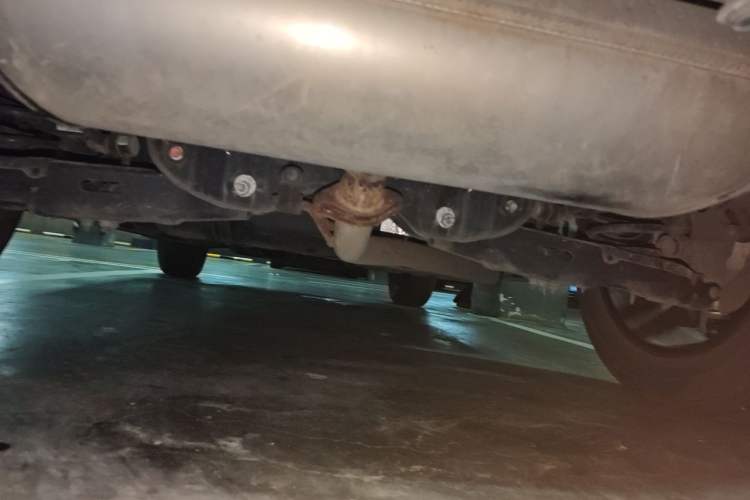 Used Haval DARGO 2022 1.5T DCT Two-Wheel Drive Border Collie Edition Chassis Rear