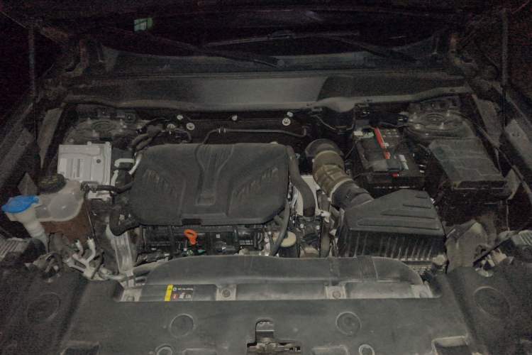 Used Haval DARGO 2022 2.0T DCT 4x4 Chinese Rural Dog Edition Engine Bay