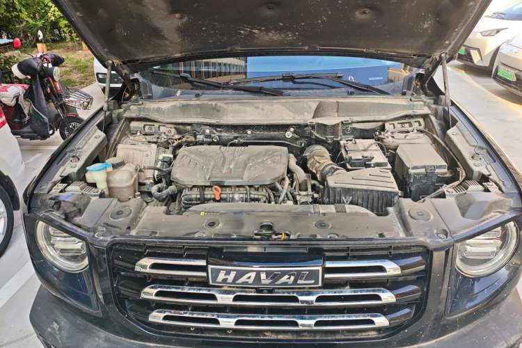 Used Haval DARGO 2022 2.0T DCT All-Wheel-Drive Xiaotianque Version Engine Bay