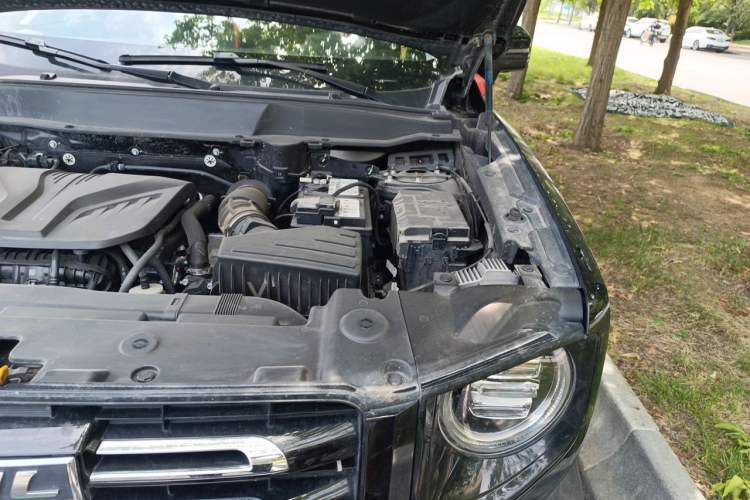 Used Haval DARGO 2022 2.0T DCT 4x4 Chinese Rural Dog Edition Engine Bay Left