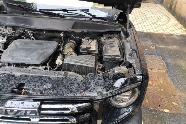Used Haval DARGO 2022 1.5T DCT Two-Wheel Drive Border Collie Edition Engine Bay Left