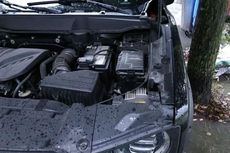 Used Haval DARGO 2022 2.0T DCT All-Wheel-Drive Xiaotianque Version Engine Bay Left