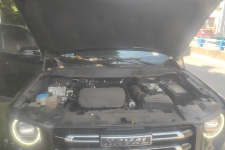 Used Haval DARGO 2022 1.5T DCT Two-Wheel Drive Border Collie Edition Engine Bay