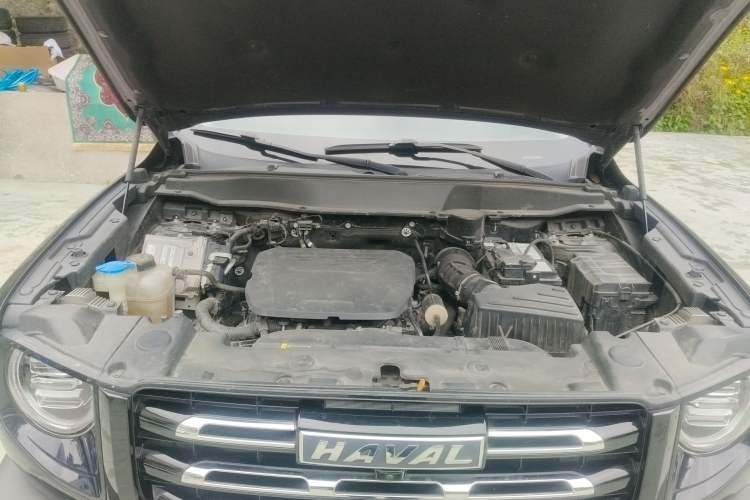 Used Haval DARGO 2022 1.5T DCT Two-Wheel Drive Border Collie Edition Engine Bay