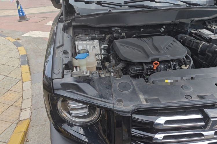 Used Haval DARGO 2022 2.0T DCT 4x4 Chinese Rural Dog Edition Engine Bay Right