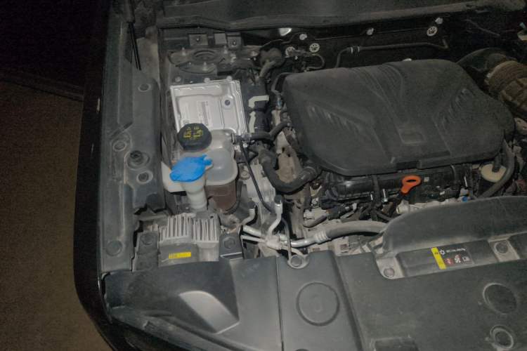 Used Haval DARGO 2022 2.0T DCT 4x4 Chinese Rural Dog Edition Engine Bay Right