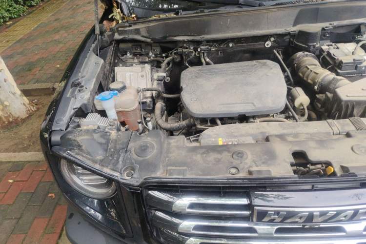 Used Haval DARGO 2022 1.5T DCT Two-Wheel Drive Mastiff Edition Engine Bay Right