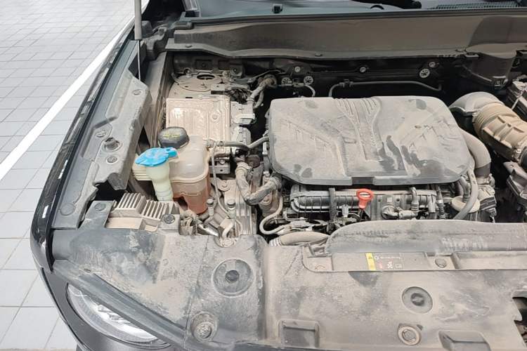 Used Haval DARGO 2022 2.0T DCT 4x4 Chinese Rural Dog Hunting Edition Engine Bay Right