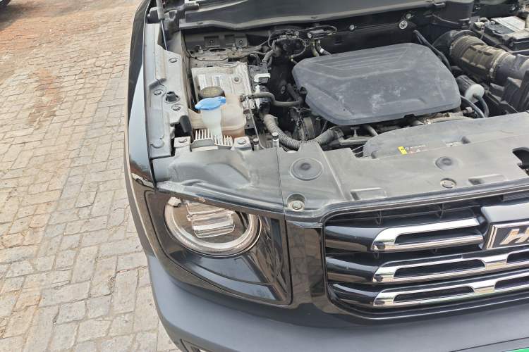 Used Haval DARGO 2022 1.5T DCT Two-Wheel Drive Border Collie Edition Engine Bay Right