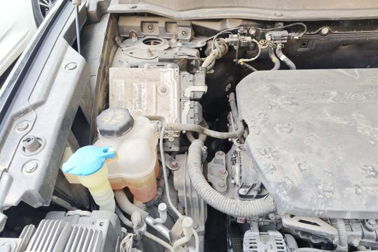 Used Haval DARGO 2022 1.5T DCT Two-Wheel Drive Border Collie Edition Engine Bay Right