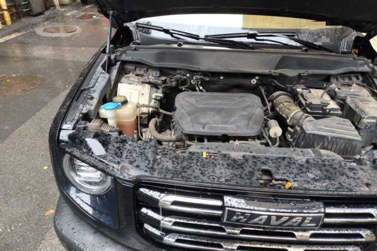 Used Haval DARGO 2022 1.5T DCT Two-Wheel Drive Border Collie Edition Engine Bay Right