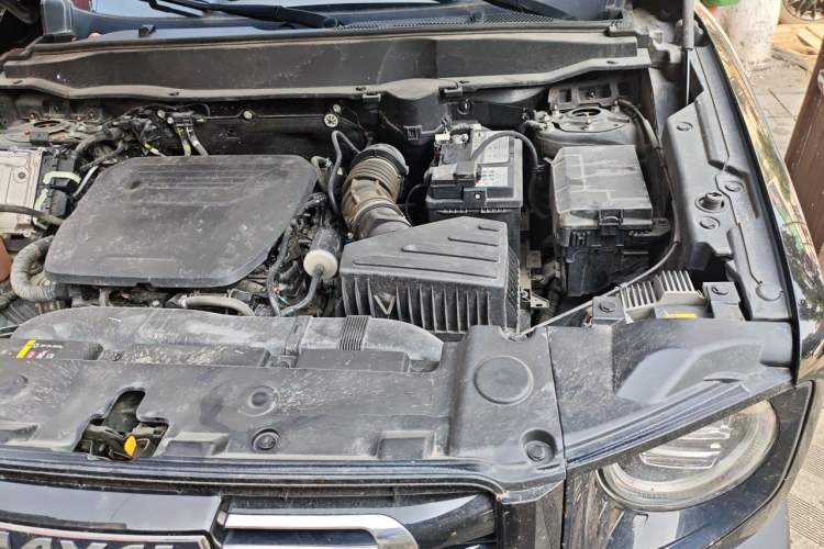 Used Haval DARGO 2022 1.5T DCT Two-Wheel Drive Border Collie Edition Engine Bay Right