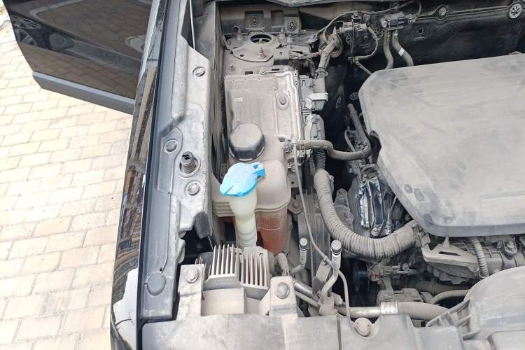 Used Haval DARGO 2022 1.5T DCT Two-Wheel Drive Border Collie Edition Engine Bay Right
