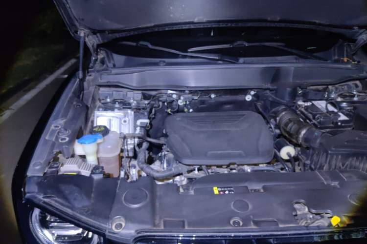 Used Haval DARGO 2022 1.5T DCT Two-Wheel Drive Labrador Edition Engine Bay Right