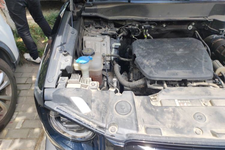 Used Haval DARGO 2022 1.5T DCT Two-Wheel Drive Border Collie Edition Engine Bay Right