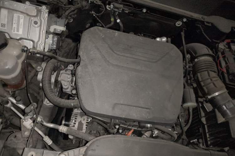 Used Haval DARGO 2022 1.5T DCT Two-Wheel Drive Border Collie Edition Engine Bay Right