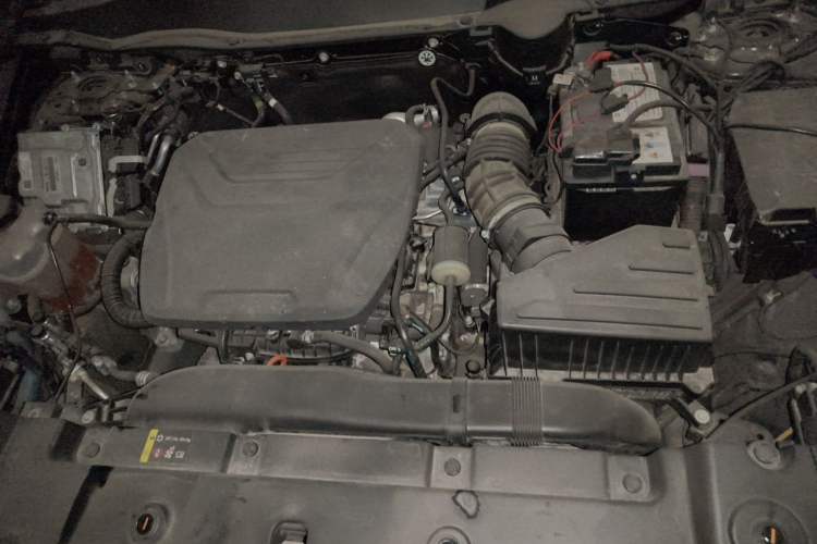 Used Haval DARGO 2022 1.5T DCT Two-Wheel Drive Border Collie Edition Engine Bay