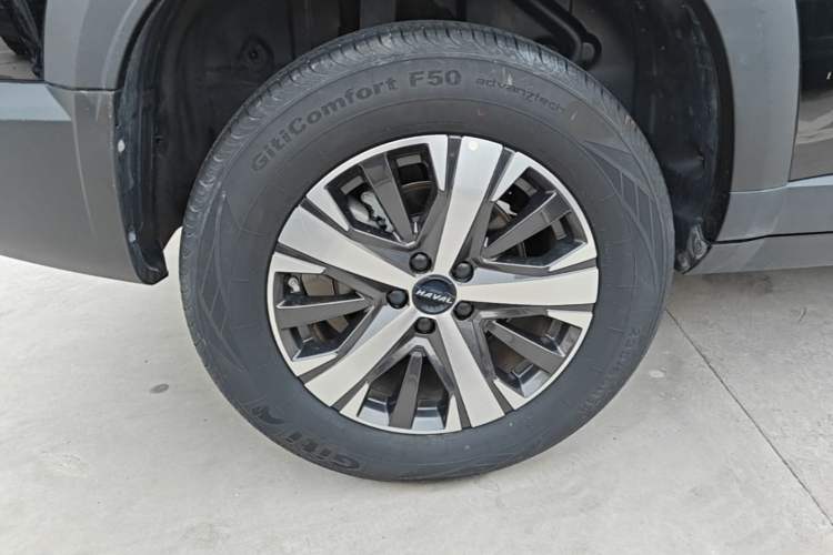Used Haval DARGO 2022 1.5T DCT Two-Wheel Drive Labrador Edition Exterior 5