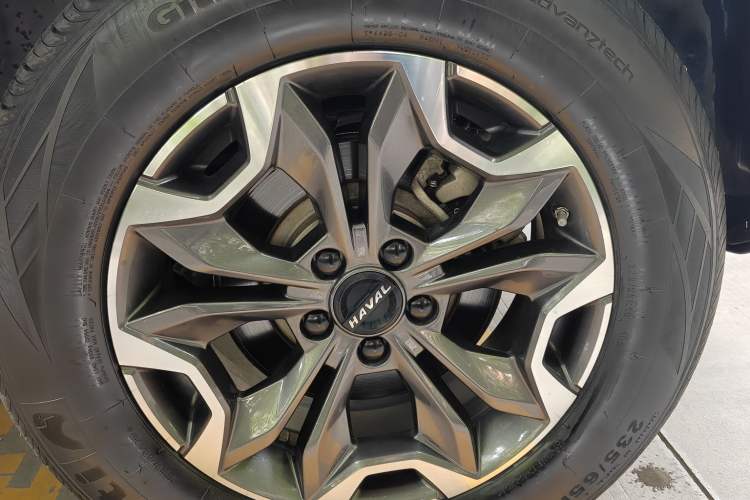 Used Haval DARGO 2022 2.0T DCT 4x4 Chinese Rural Dog Edition Exterior 7