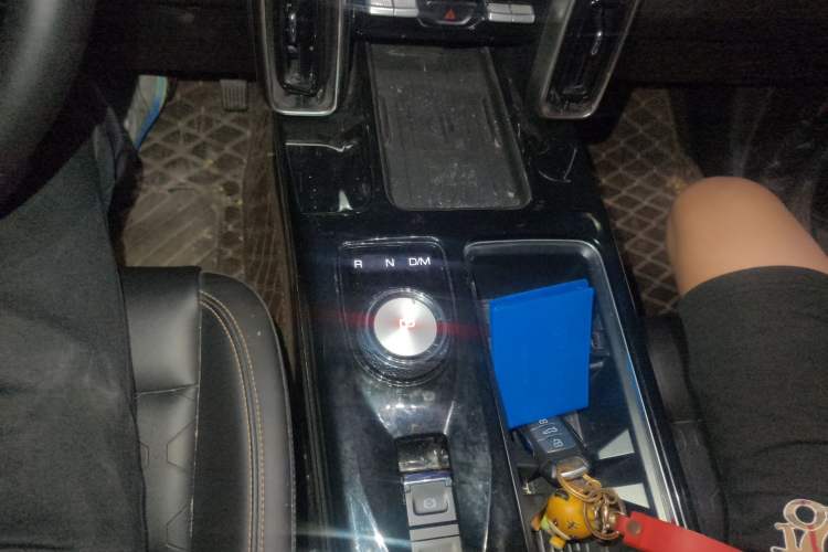 Used Haval DARGO 2022 2.0T DCT 4x4 Chinese Rural Dog Edition Gear Lever