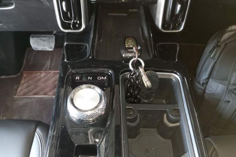 Used Haval DARGO 2022 2.0T DCT Two-Wheel Drive Huazhong Hound Edition Gear Lever