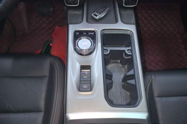 Used Haval DARGO 2022 1.5T DCT Two-Wheel Drive Labrador Edition Gear Lever