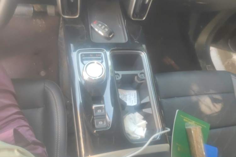 Used Haval DARGO 2022 1.5T DCT Two-Wheel Drive Border Collie Edition Gear Lever