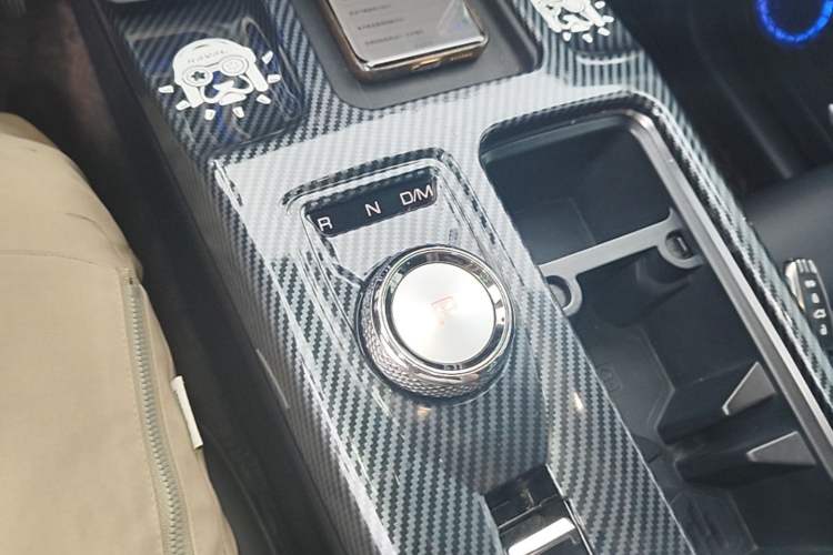 Used Haval DARGO 2022 1.5T DCT Two-Wheel Drive Labrador Edition Gear Lever