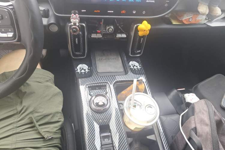 Used Haval DARGO 2022 1.5T DCT Two-Wheel Drive Border Collie Edition Gear Lever